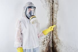 Best Residential Mold Inspection & Testing  in Yoakum, TX